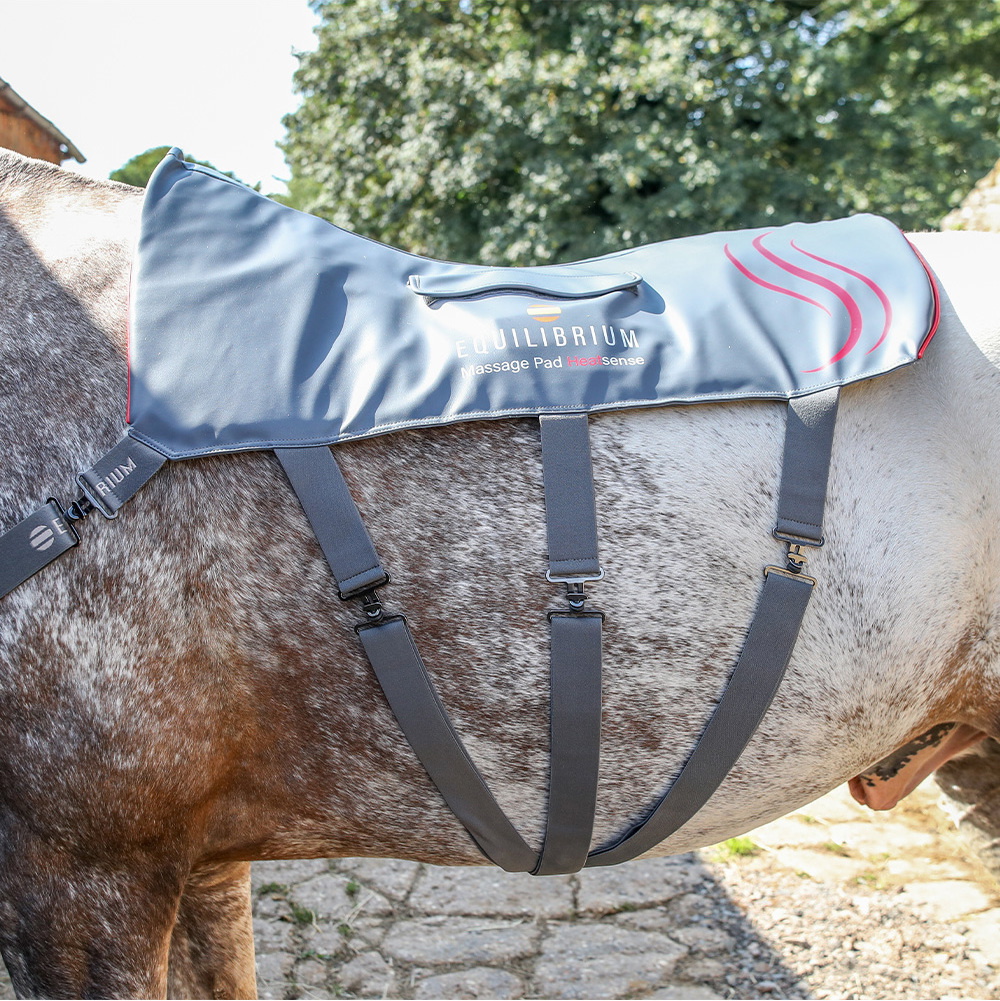 2025 Equilibrium Heatsense Horse Massage Pad 35864 - Grey